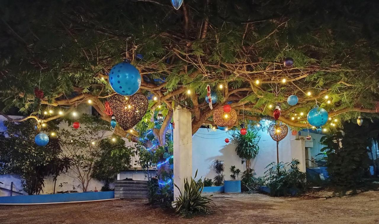 Blue Coconut Cancun Hotel Ngoại thất bức ảnh