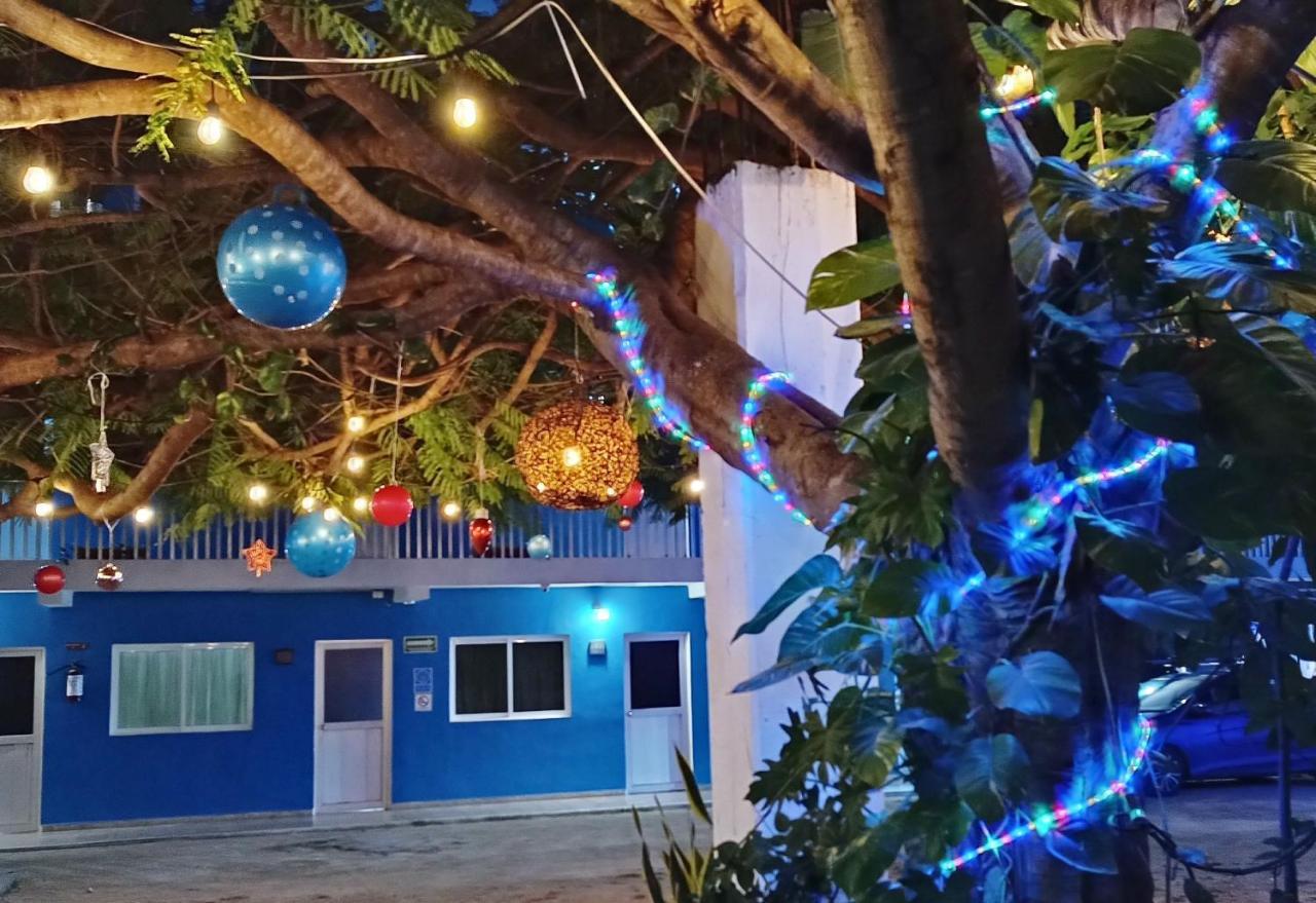 Blue Coconut Cancun Hotel Ngoại thất bức ảnh