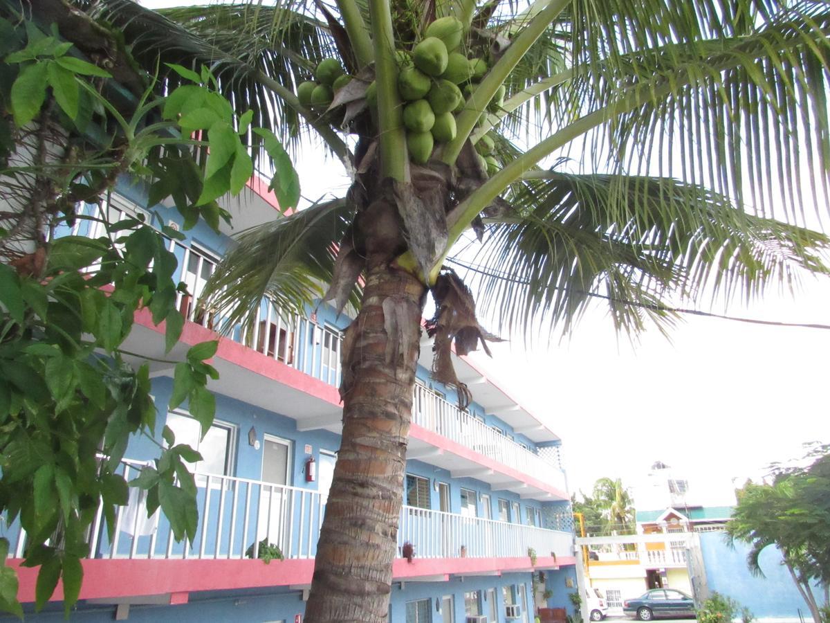 Blue Coconut Cancun Hotel Ngoại thất bức ảnh