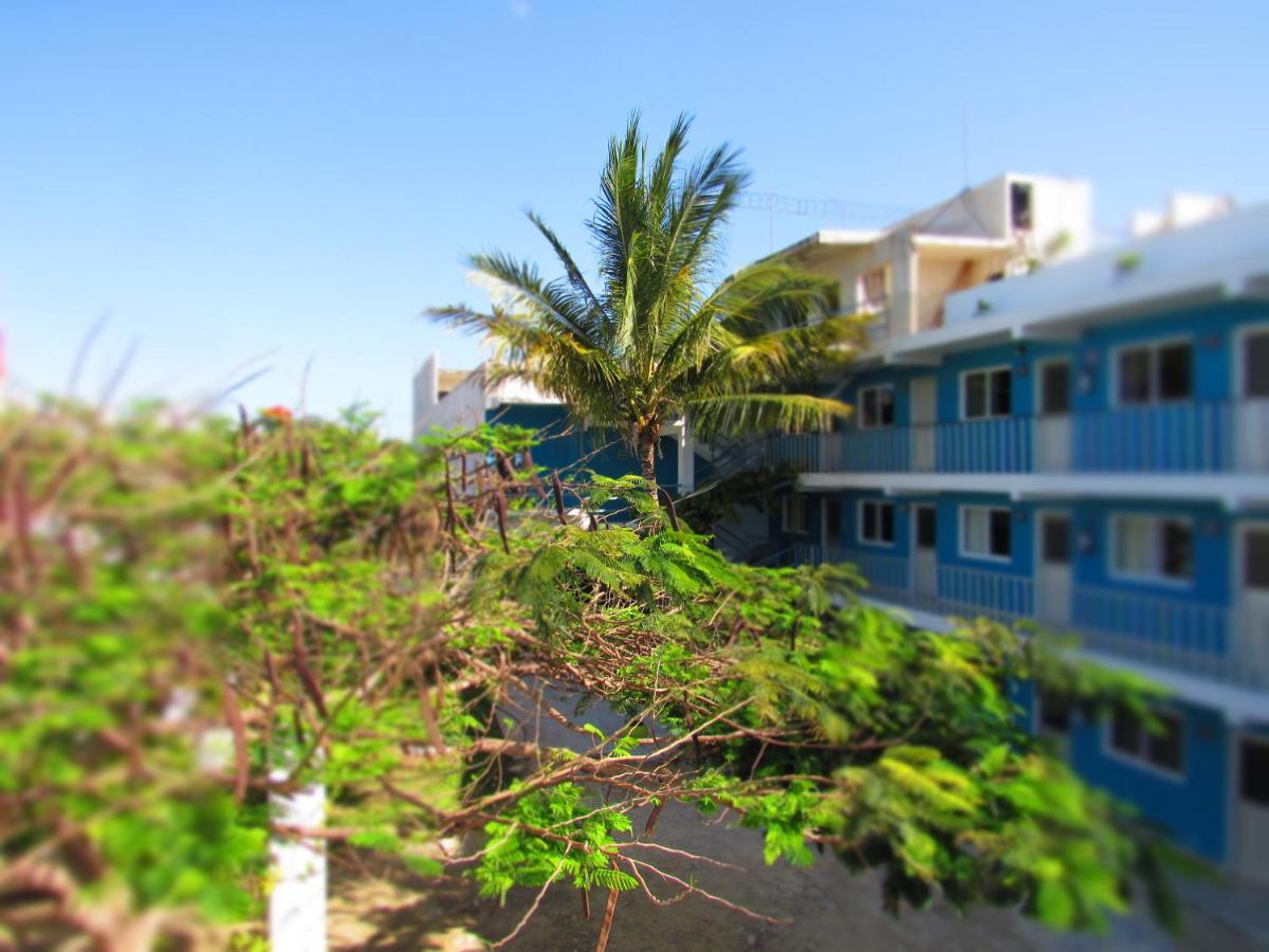 Blue Coconut Cancun Hotel Ngoại thất bức ảnh